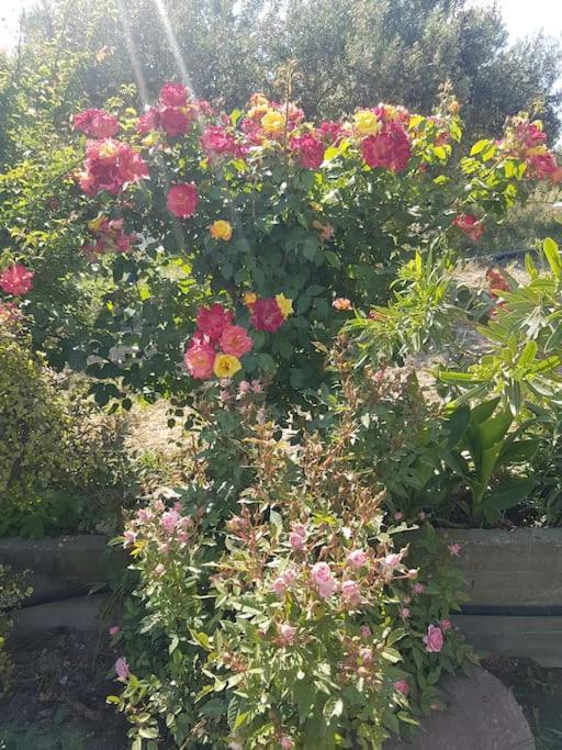 Amalthia Villa Sitia  Bagian luar foto